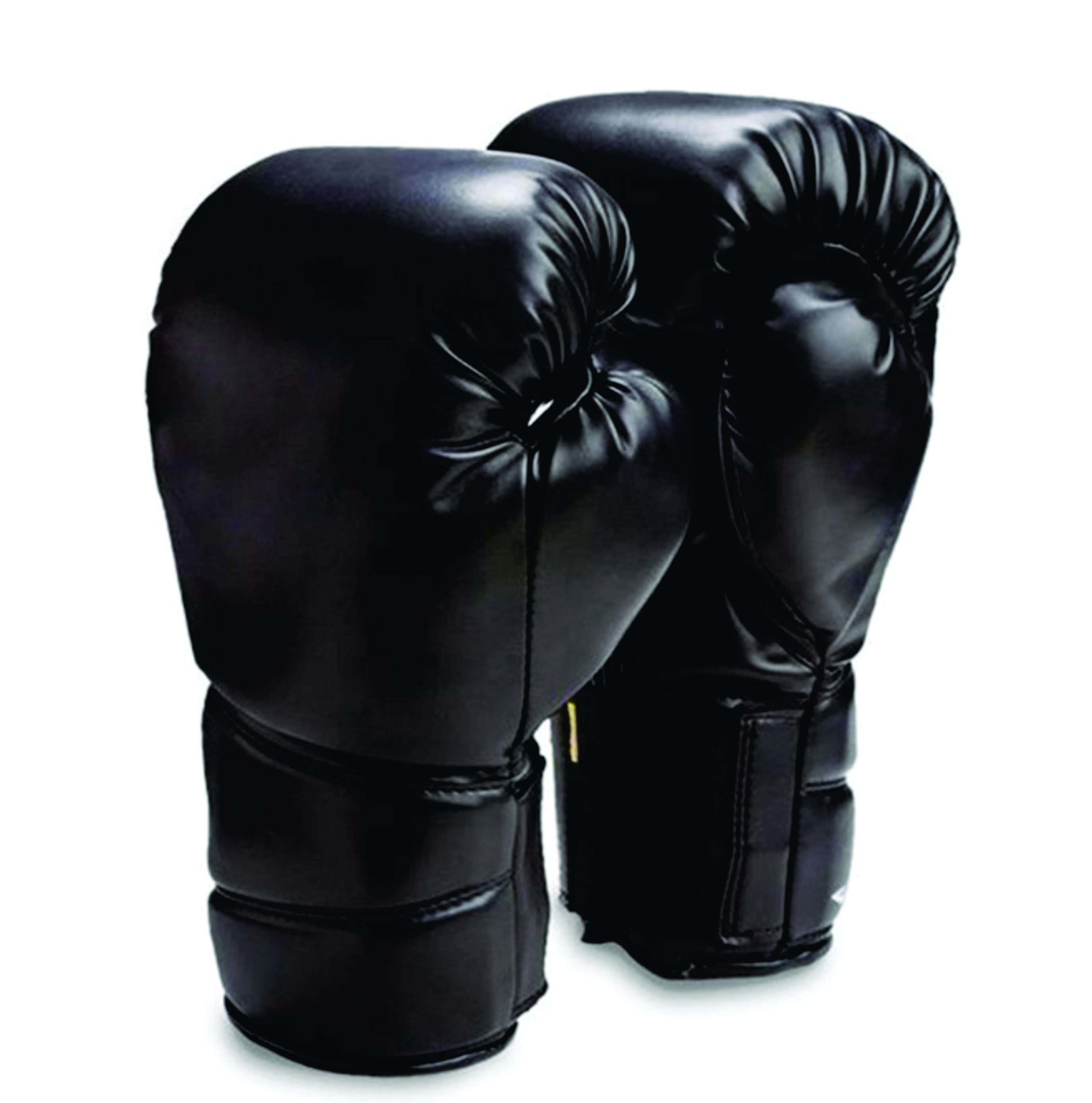 Boxing Gloves RI-1004