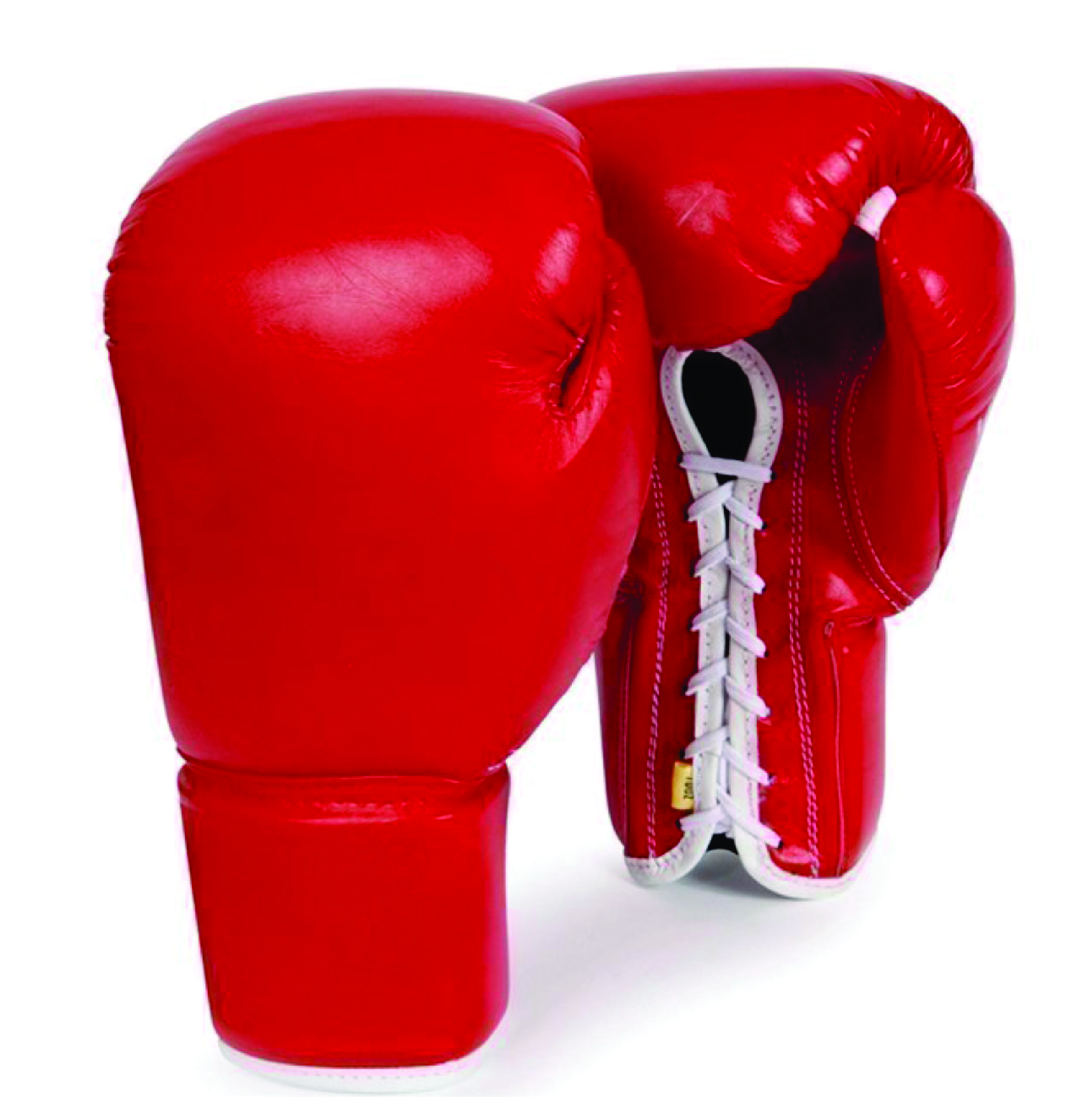 Boxing Gloves RI-1006