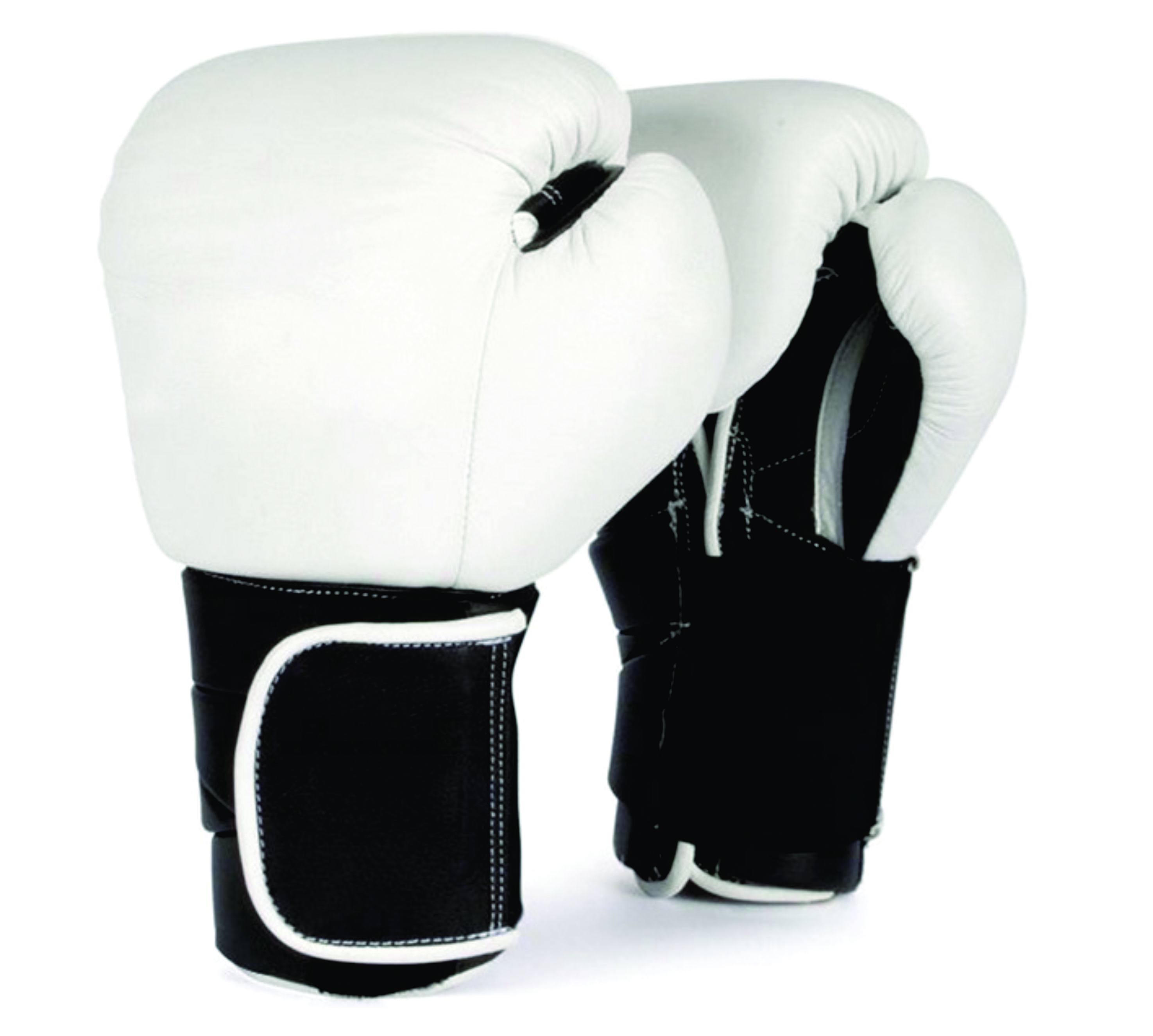 Boxing Glove RI-1007