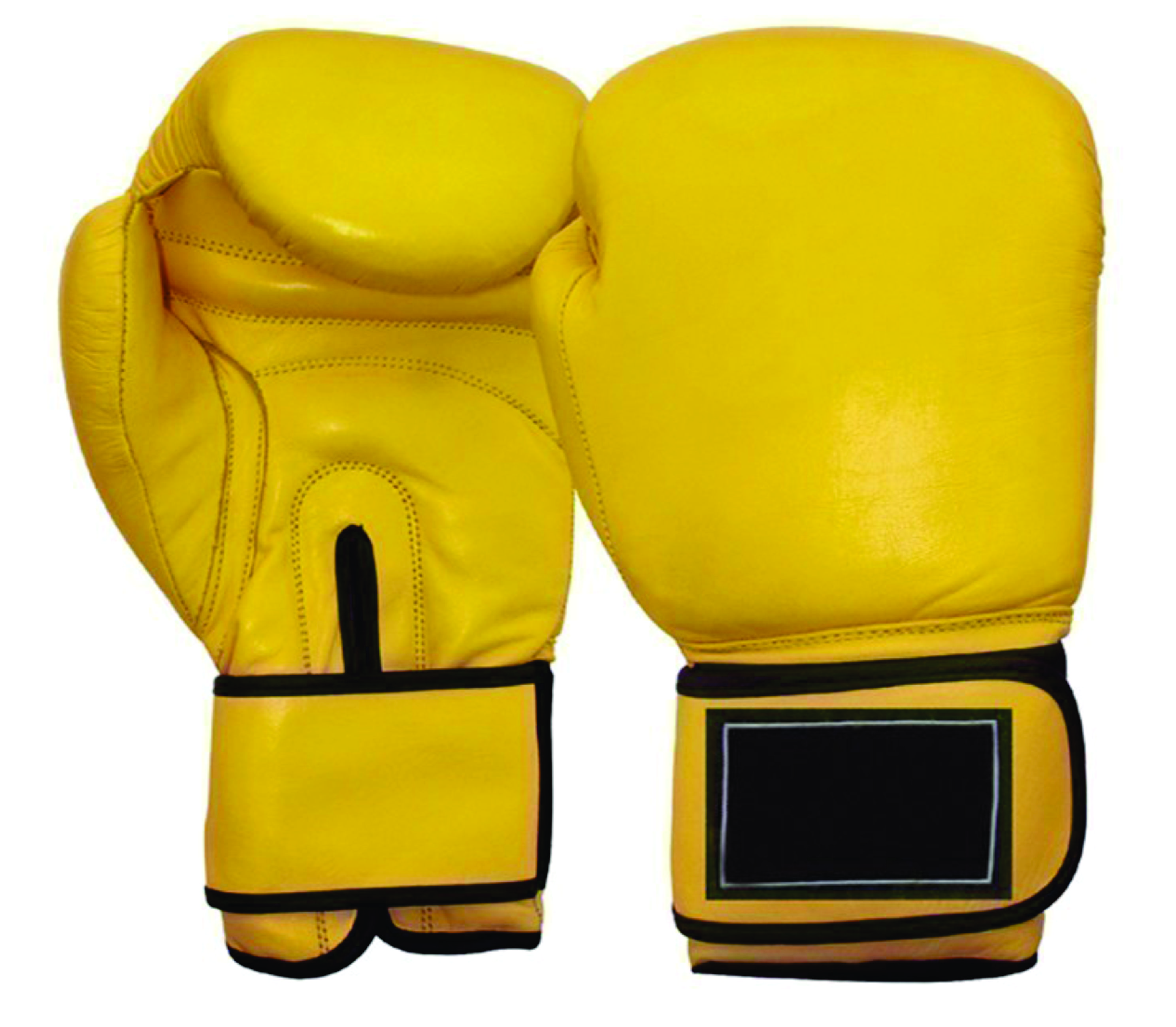 Boxing Glove RI-1008