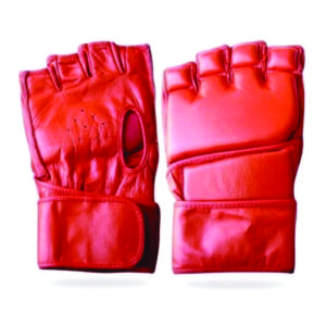 MMA Gloves RI 1903